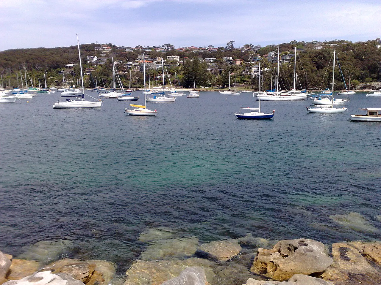North Harbour, Balgowlah, Sydney