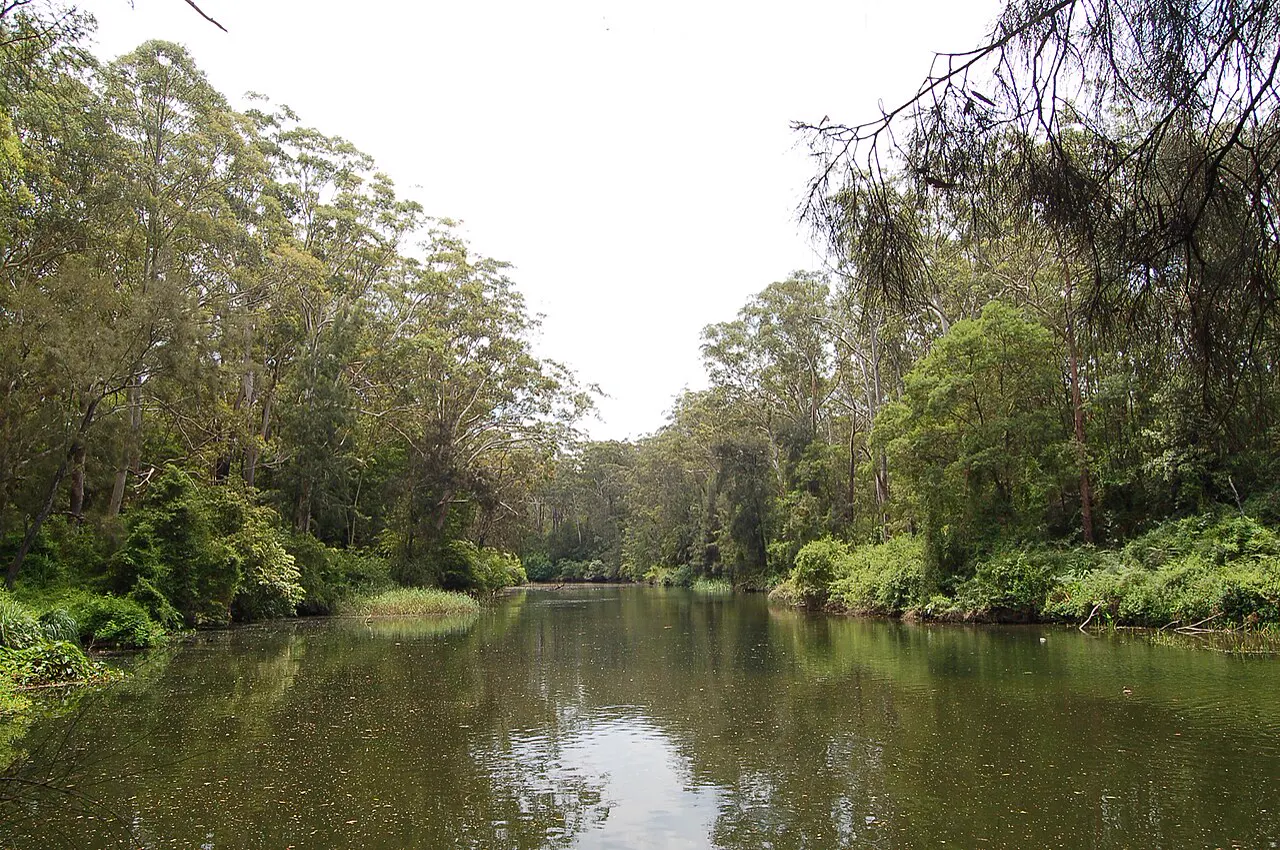 Lane Cove River, Sydney